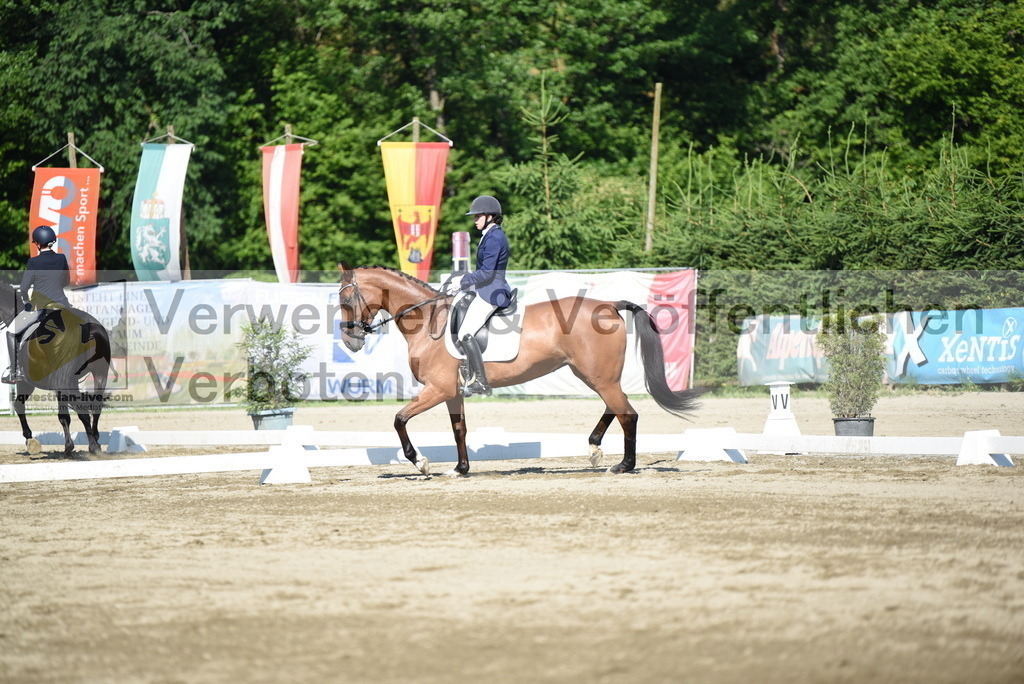 DSC_7227 | equestrian-live-com