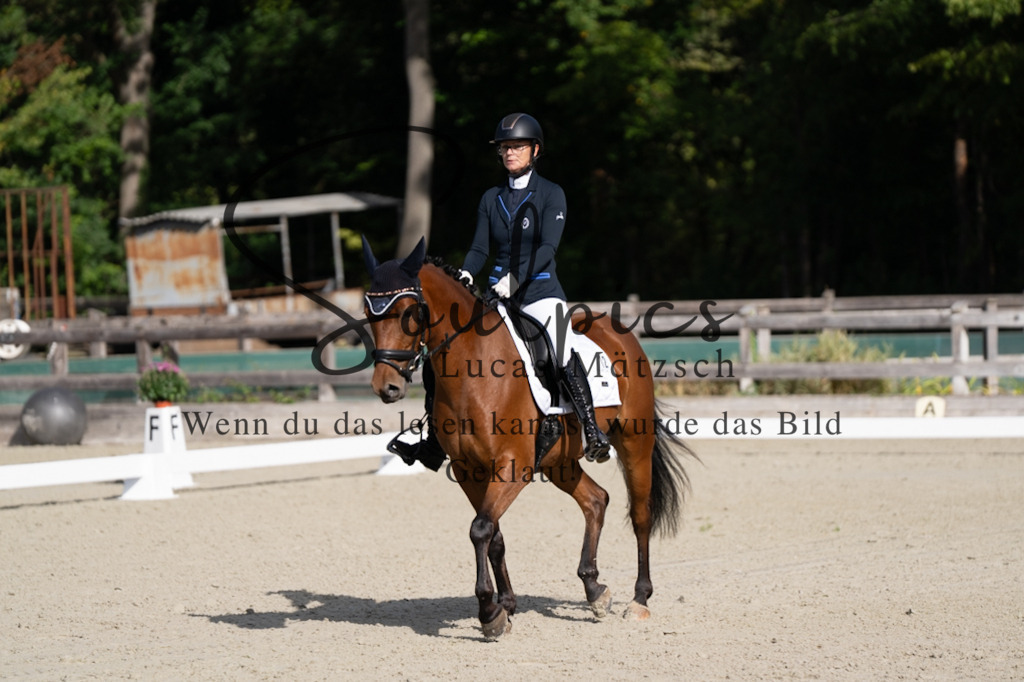 A7V06868 | Turnier/Reitfotograf