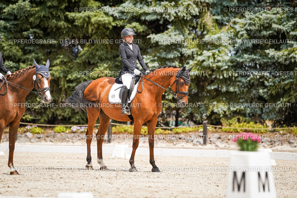 DSC03424 | Pferdegrafie