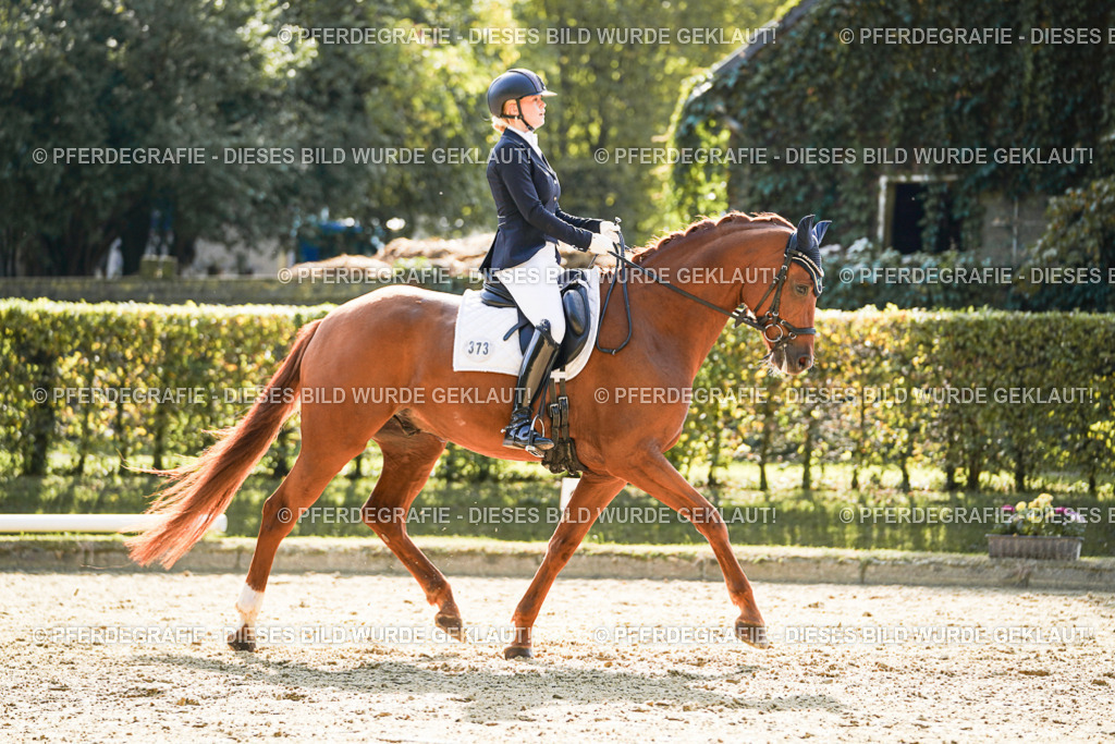 DSC07435 | Pferdegrafie