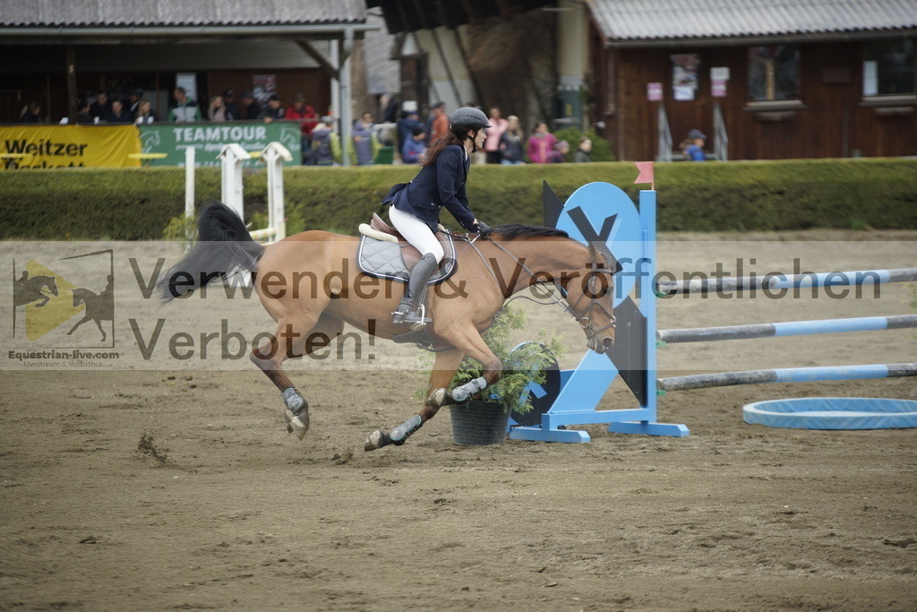 _DSC7332 | equestrian-live-com