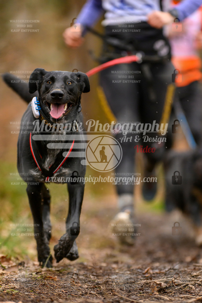MompixPhotography_CDSM24_SA_Fun-15 | PayLife