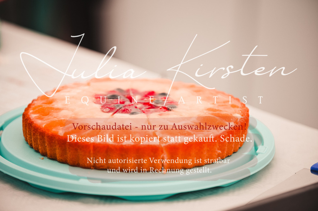 DSC_5743 | Pferde- und Turnierfotografie in Westsachsen. Pferdeportraits, Auftragszeichnungen und intuitive Kunst.