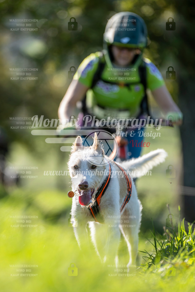 MompixPhotography_20TSB_E3_DS1-75 | PayLife