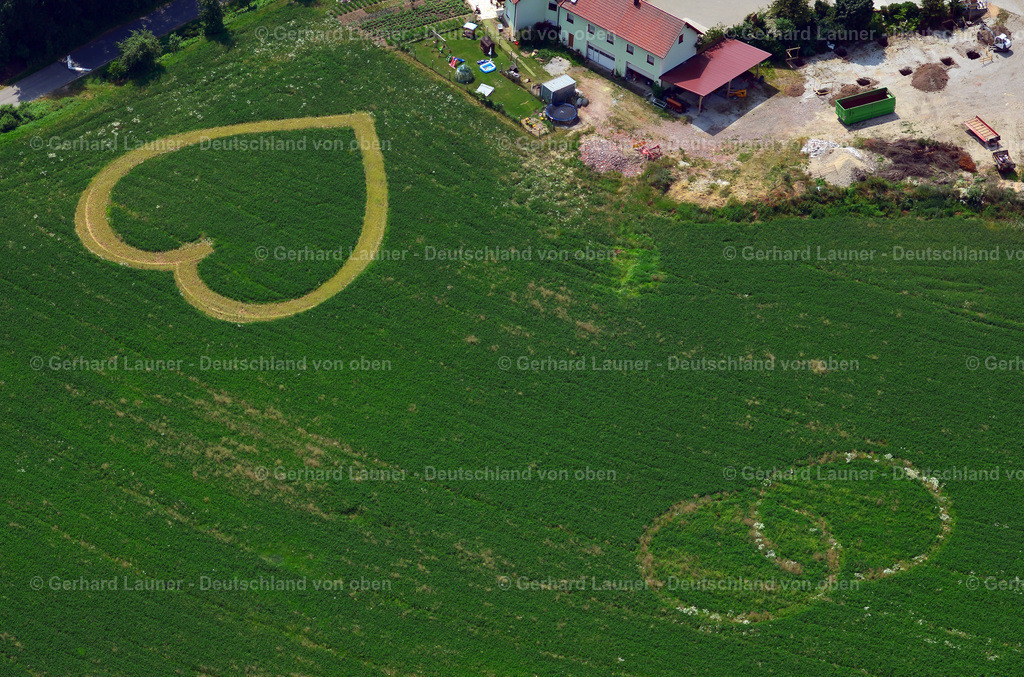 3305413 | Herz und Ringe bei Hallerndorf.