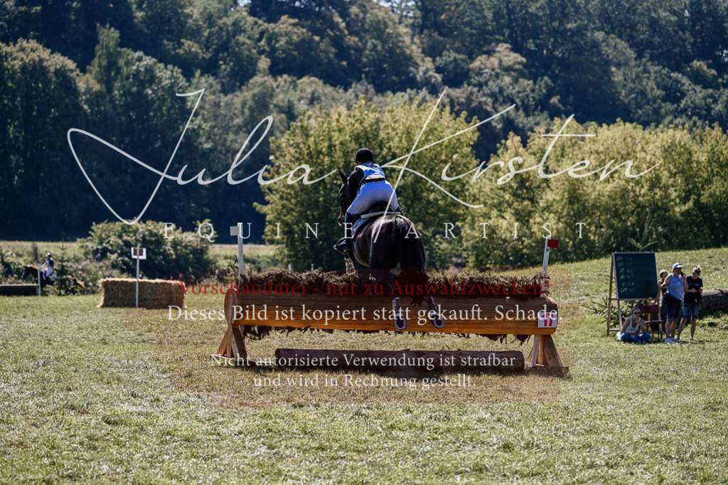 DSC_1873 | Pferde- und Turnierfotografie in Westsachsen. Pferdeportraits, Auftragszeichnungen und intuitive Kunst.