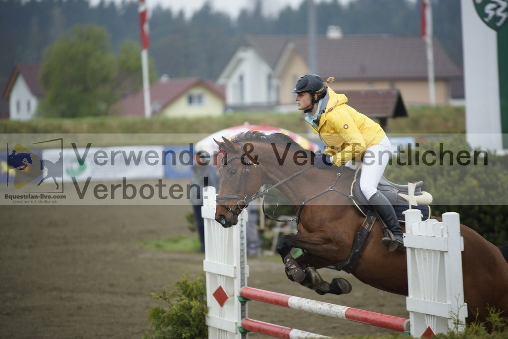 _DSC3754 | equestrian-live-com