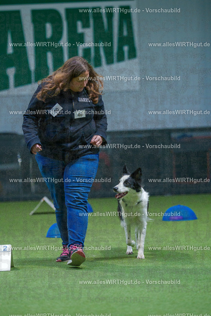 7R501385 | Professionelle Tierfotografie in Mönchengladbach von Daniel Wirth (allesWIRTHgut). Liebevolle & natürliche Bilder von Hunden & Katzen für unvergessliche Erinnerungen.