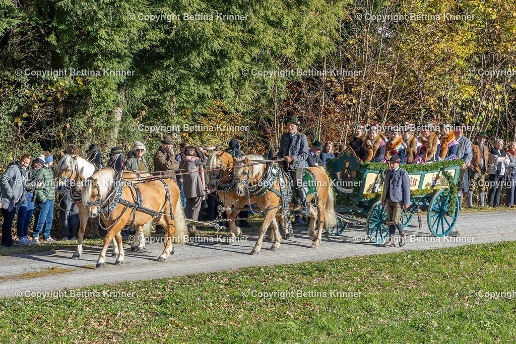 LBT25-568 | foto-bettina-krinner - Realisiert mit Pictrs.com
