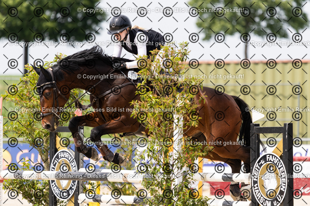 CL5A3954 | Emilia Reinking Fotografie - Realisiert mit Pictrs.com