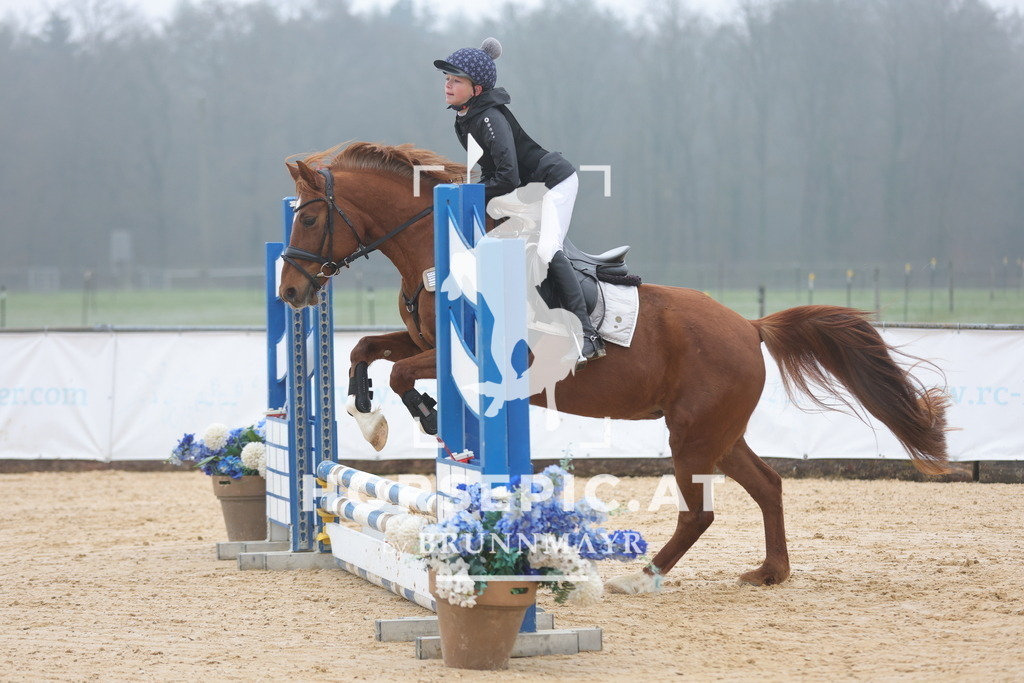 0P6A8232 | Willkommen bei Brunnmayr - Design & Fotografie – Ihrem Spezialisten für Reitturniere und Pferdeveranstaltungen in Oberösterreich, Salzburg und Bayern! Seit über 17 Jahren sind wir leidenschaftlich dabei.