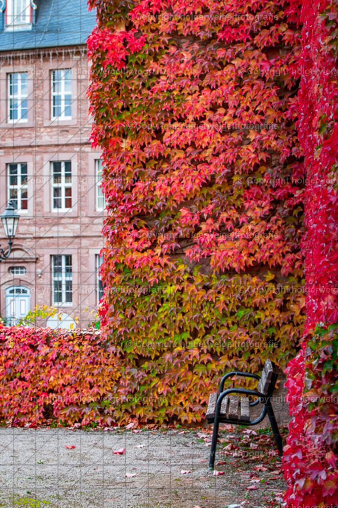 20251019172209D75_8932 | Kaufen sie online außergewöhnliche Fotografien auf Leinwand Acrylglas Fotoprint Aludibond von holgerweigeltfotografie - Realisiert mit Pictrs.com