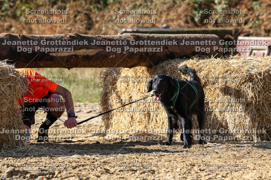 Dog Paparazzi - Strongdog 10-25-4671 | Dog Paparazzi Jeanette Grottendiek Fotografie & Videografie - Realisiert mit Pictrs.com