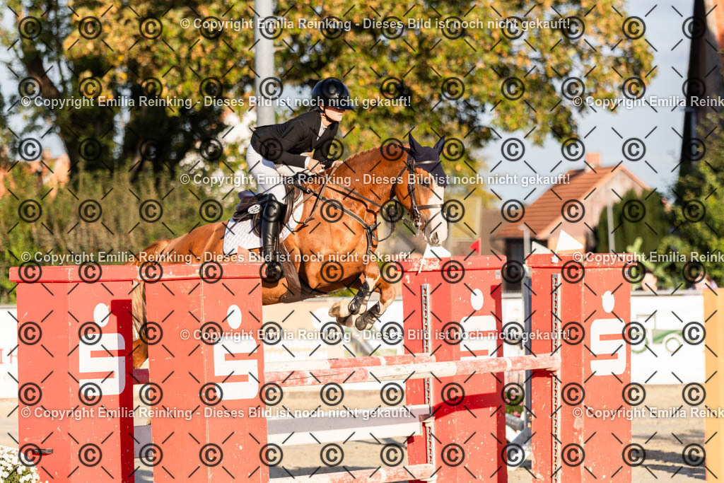 CL5A4427 | Emilia Reinking Fotografie - Realisiert mit Pictrs.com