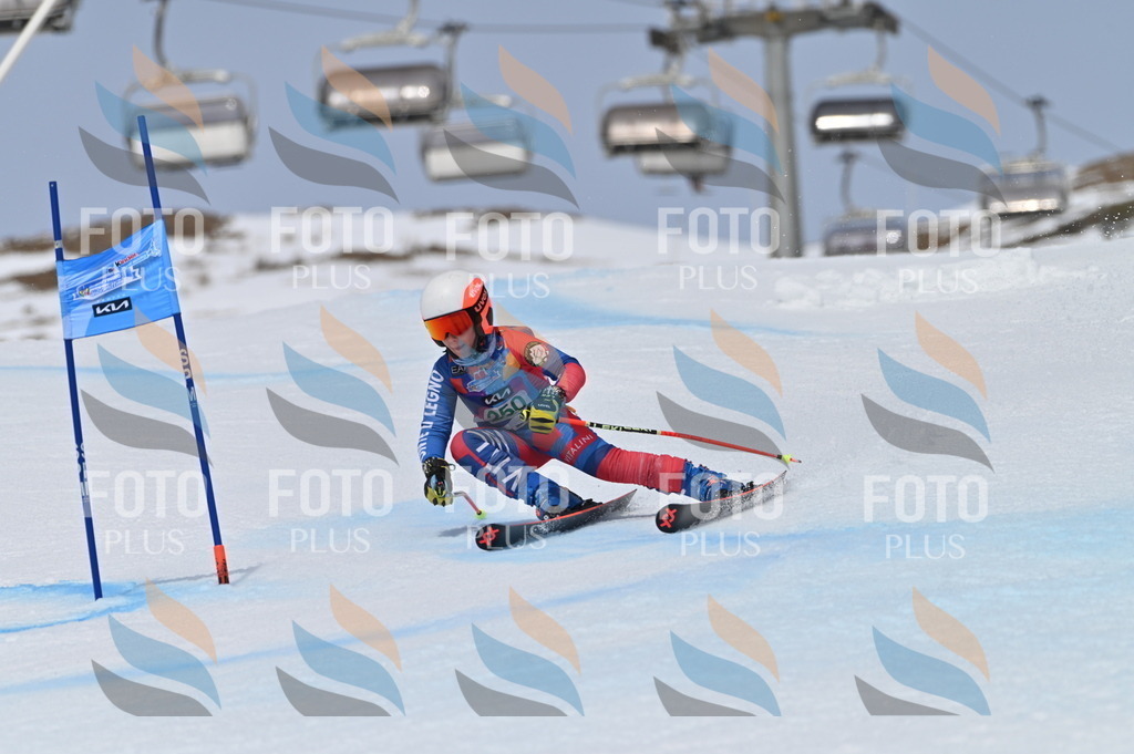 BGV_4959 | holidayphoto