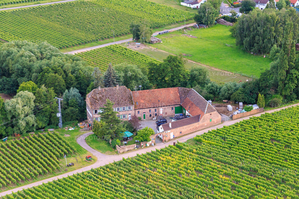 Luftbild: Weingut Erlenmühle in Edesheim im Bundesland Rheinland-Pfalz in Deutschland. Foto: IMG_090149.jpg vom 26.06.2016 durch Werner Riehm/FLY-FOTO.deweingut erlenmühle edesheim landau edenkoben südliche weinstraße südpfalz neustadt rhodt weinstube weißwein rotwein rosewein riesling weinhandel weinfest veranstaltungen weinprobe wohnmobilstellplatz