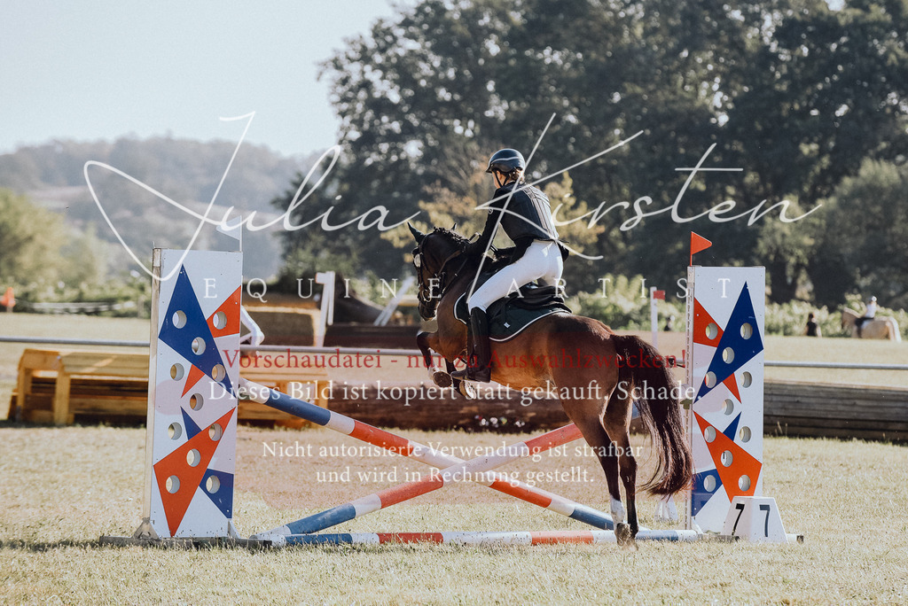 DSC_5552 | Pferde- und Turnierfotografie in Westsachsen. Pferdeportraits, Auftragszeichnungen und intuitive Kunst.