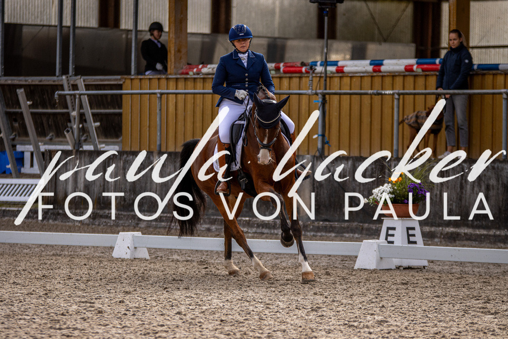 IMG_3252 | Erleben Sie dynamische Sport- und emotionale Tierfotografie in Süddeutschland mit Fotos von Paula. Spezialisiert auf Pferde- und Hundefotografie sowie Sportevents. Kontaktieren Sie mich für einzigartige und ausdrucksstarke Bilder Ihrer besonderen Momente.