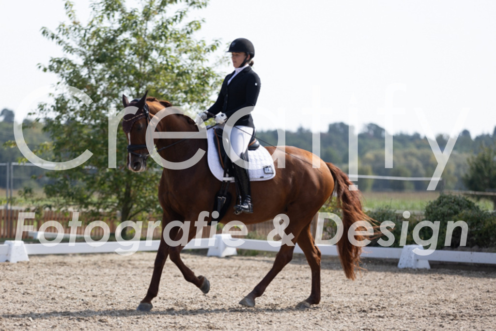 IMG_3397 | Creatify Fotografie