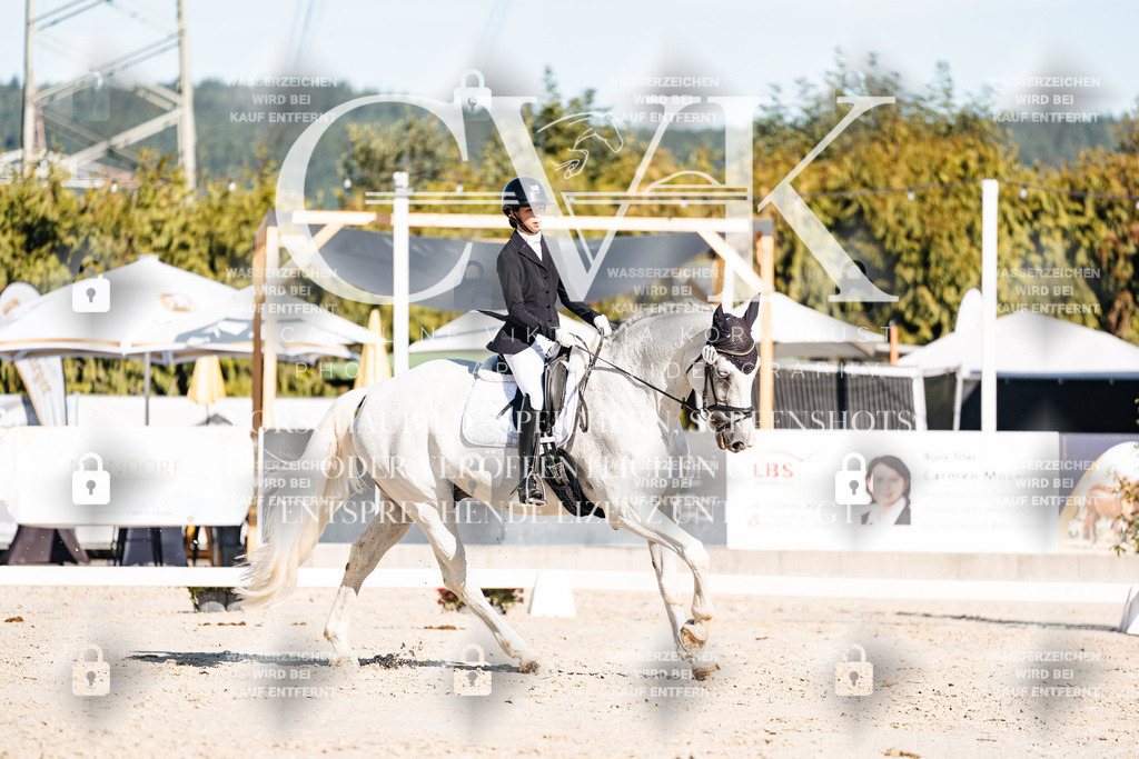 CK907595 | Turnierfotografie Pferdefotografie Trier Rheinland-Pfalz Pferdesport Reitsport Tierfotografie Sportfotografie Pferdevideo Pferdevideografie Equestrianvideography equestrianphotography  - Realisiert mit Pictrs.com