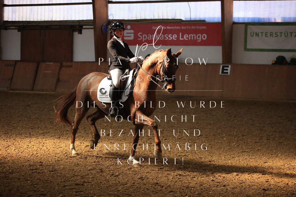 IMGT3050 | pl-fotografie