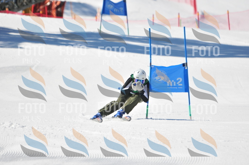 C4241 | holidayphoto