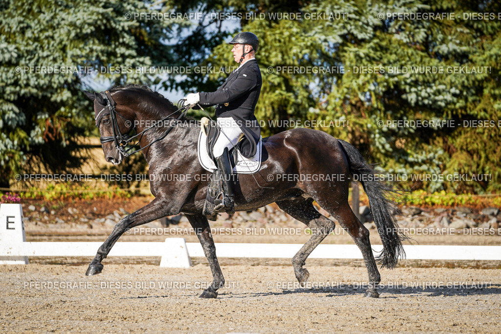 DSC00703 | Pferdegrafie