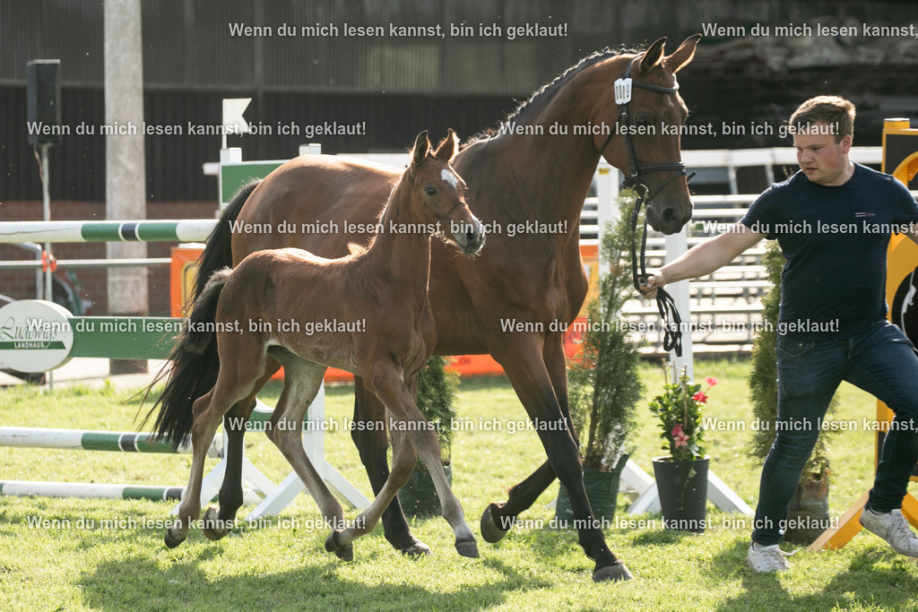 598A7038 | photographylinaismer - Realisiert mit Pictrs.com