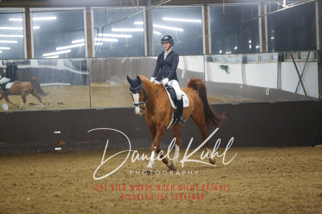 IMG_8452 | Turniersportfotografie; Pferdefotografie; Dressurfotografie