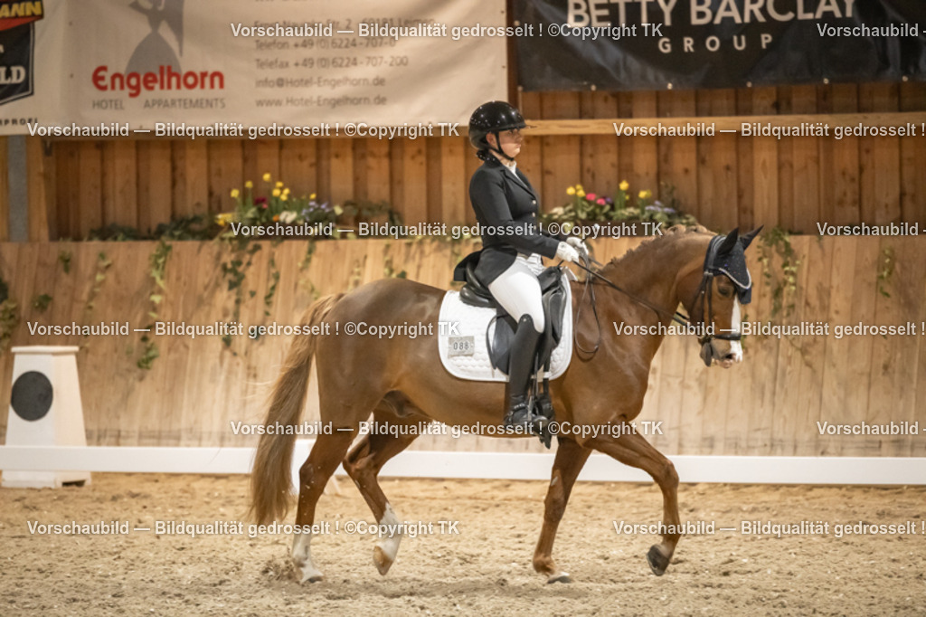 _D5A0883 | Emotionale Pferde- & People-Fotografie rund um Heidelberg, Leimen & Umgebung. Natürliche Fotos von Pferd, Mensch & Familie. Jetzt Termin sichern!