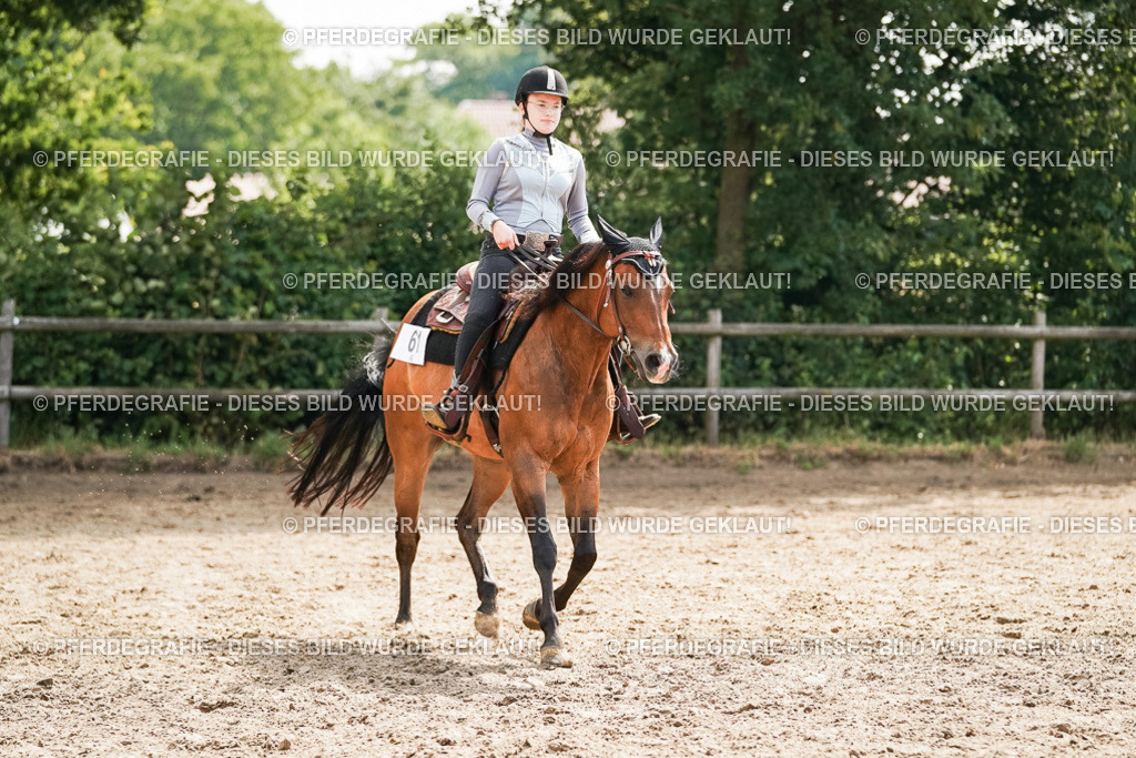 DSC05000 | Pferdegrafie