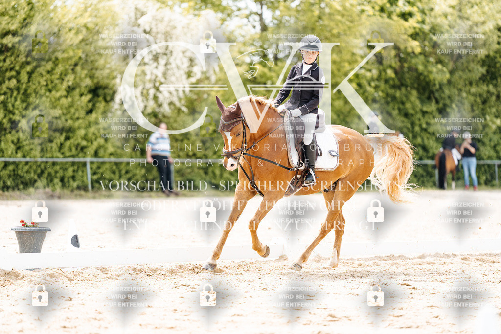CK902535 | Turnierfotografie Pferdefotografie Trier Rheinland-Pfalz Pferdesport Reitsport Tierfotografie Sportfotografie Pferdevideo Pferdevideografie Equestrianvideography equestrianphotography  - Realisiert mit Pictrs.com
