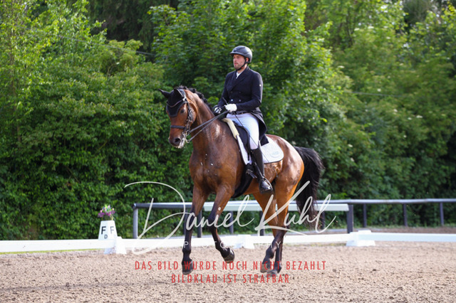 DKP41747 | Deine Turnierfotos vom Reitturnier online kaufen: Dressur, Springen & Siegerehrung. Professionelle Pferdefotografie aus dem Rheinland – als Download & Print.Alternative: Turnierfotograf für den Pferdesport: Finde deine Fotos von Dressur- und Springturnier