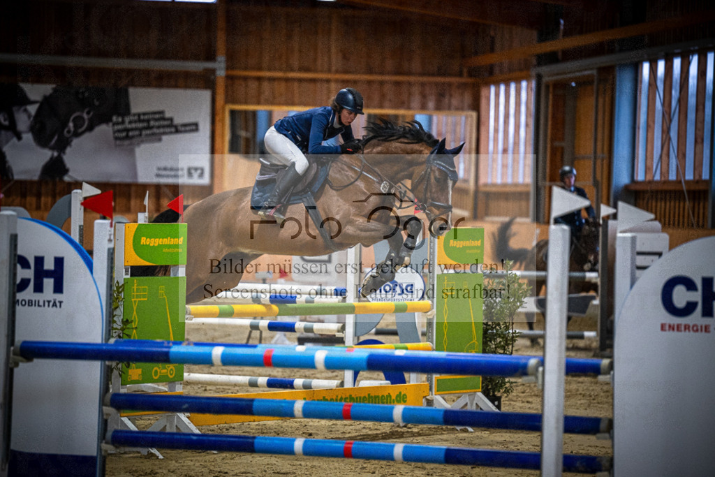 DOS_0322 | Entdecke hochwertige Reitturnierfotos von Foto Oger. Professionell, emotional und authentisch – jetzt Lieblingsmomente im Shop bestellen.Deutschlandweite Turnierfotografie. - Realisiert mit Pictrs.com