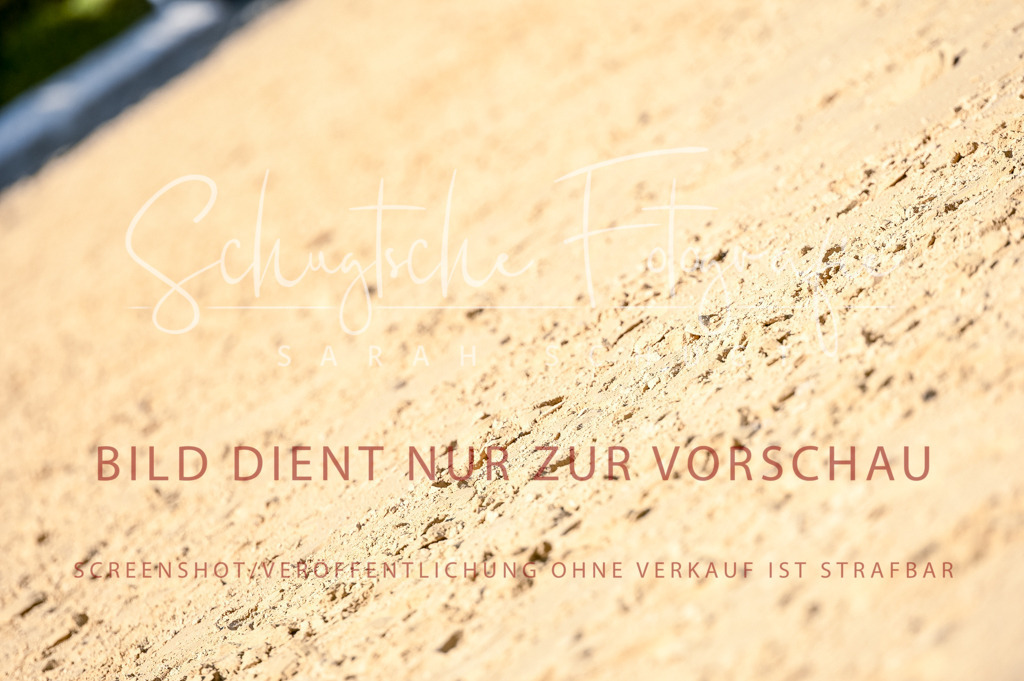 Schugtsche-Aluta25-50.Dressurpferdeprf.L-185 | Schugtsche Fotografie - Realisiert mit Pictrs.com