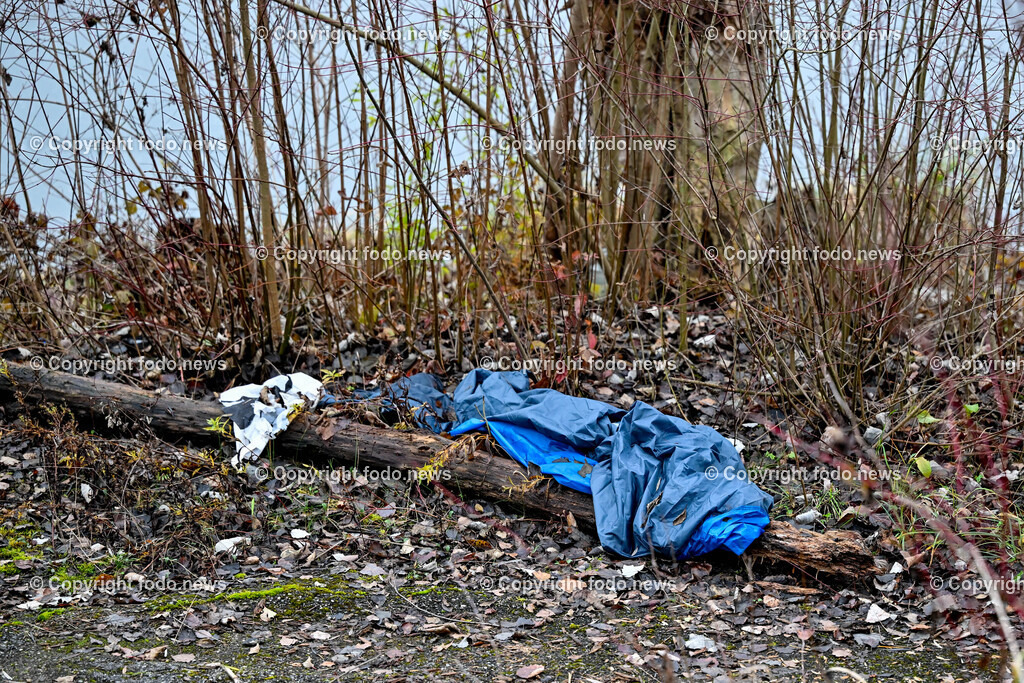 Muell_ Mist_ 11.12.2024-13 | 11.12.2024, Linz, AUT, Muell, Mist, im Bild Unachtsam weggeworfener Muell im Wald, Augebiet, Abfall, Gift, Straeucher, Gebuesch, Weg, Restmuell, Ablage, Illegal