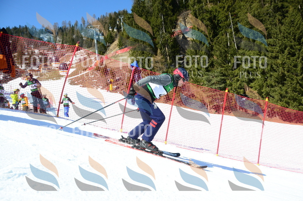 C6534 | holidayphoto