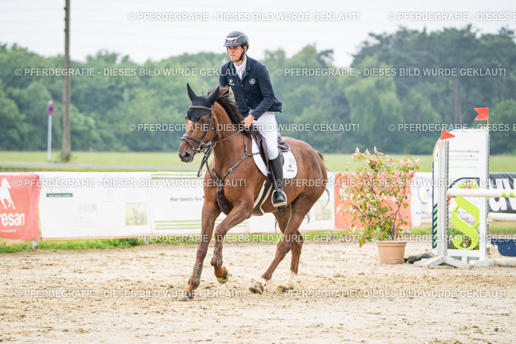 DSC00723 | Pferdegrafie