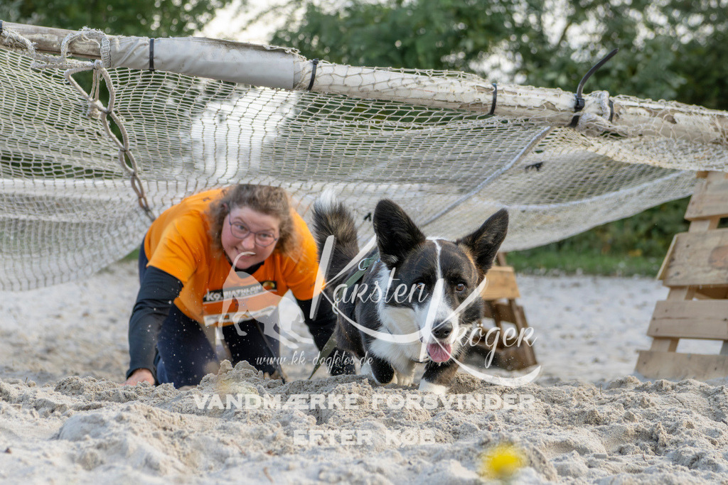 1623_ZZ97257 | kk-dogfotos