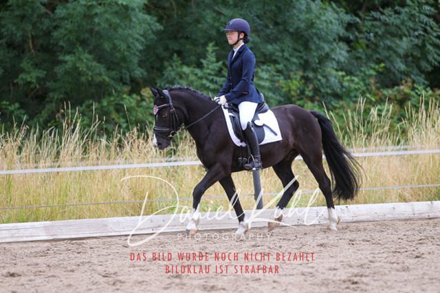 DKP46778 | Turniersportfotografie; Pferdefotografie; Dressurfotografie