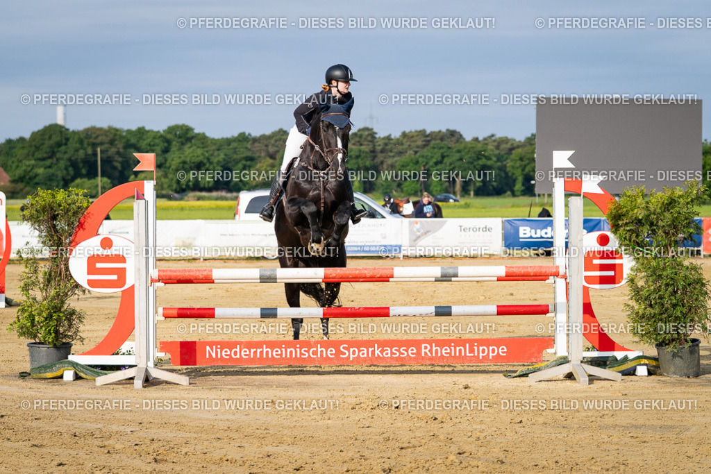 DSC02822 | Pferdegrafie