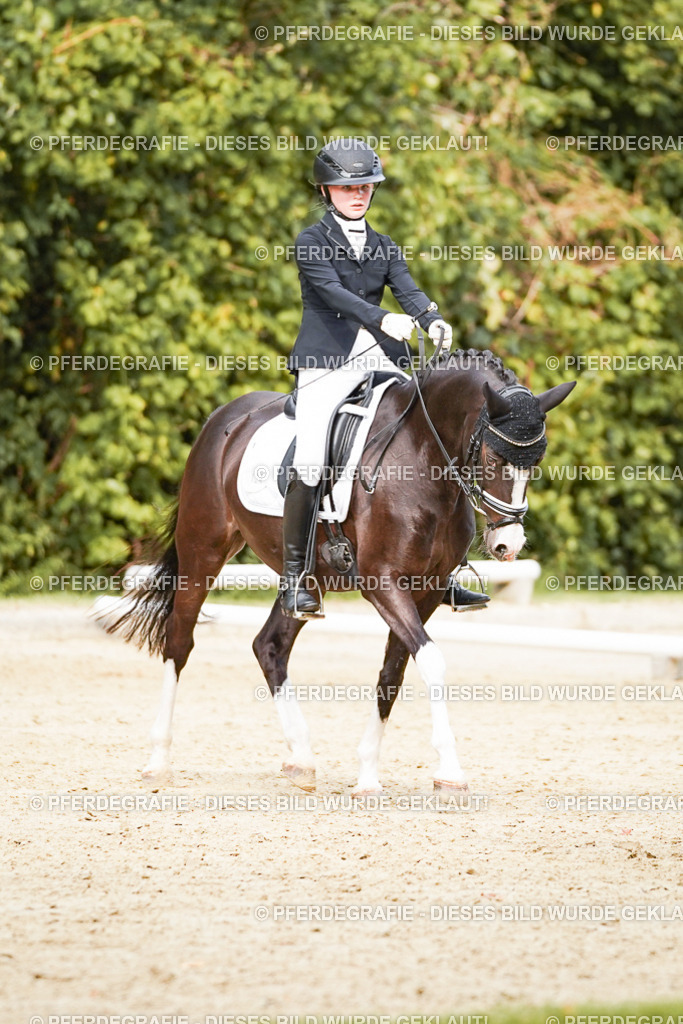 DSC03843 | Pferdegrafie