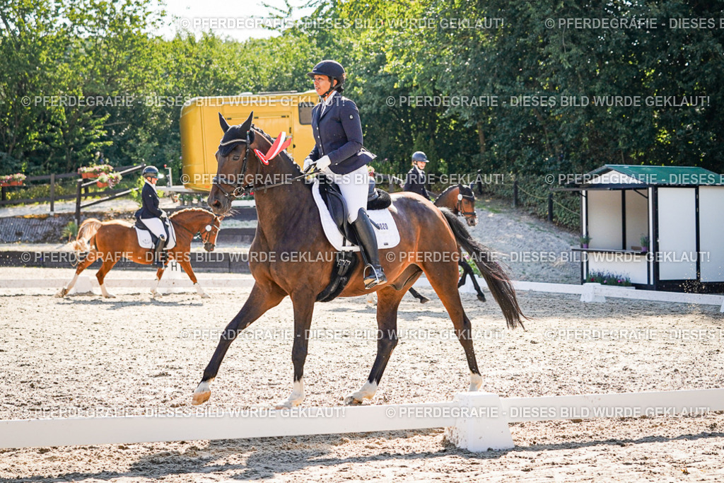 DSC00221 | Pferdegrafie