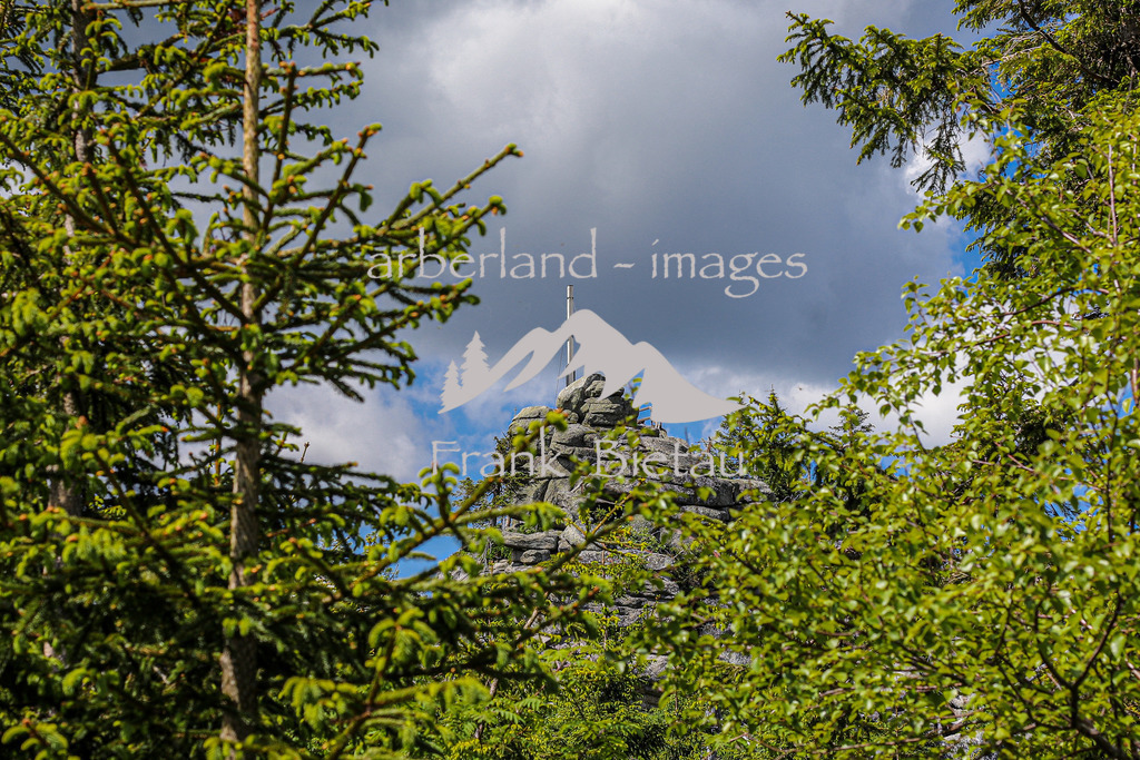 OE7A3981 | Medien- Sport- Entertainmentfotos