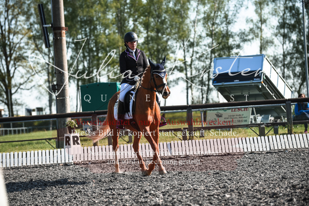 DSC_8423 | Pferde- und Turnierfotografie in Westsachsen. Pferdeportraits, Auftragszeichnungen und intuitive Kunst.