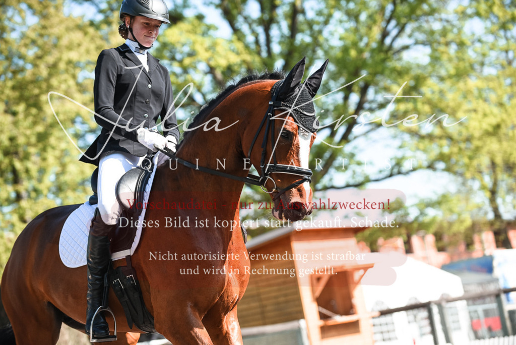 DSC_8668 | Pferde- und Turnierfotografie in Westsachsen. Pferdeportraits, Auftragszeichnungen und intuitive Kunst.