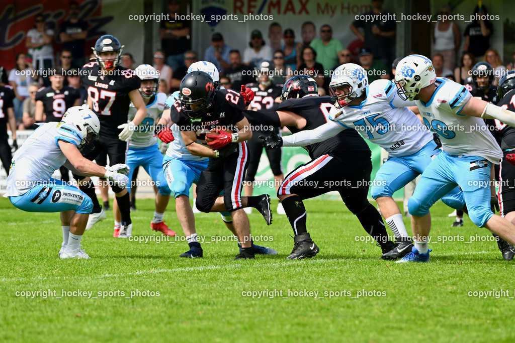 Carinthian Lions vs. Styrian Bears | Carinthian Lions vs. Styrian Bears, Carinthian Lions vs. Styrian Bears am 20.05.2024 in Klagenfurt (ASV Sportplatz), Austria, (Photo by Bernd Stefan)