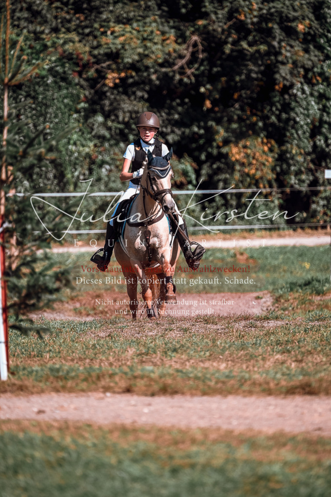 DSC_1067 | Pferde- und Turnierfotografie in Westsachsen. Pferdeportraits, Auftragszeichnungen und intuitive Kunst.
