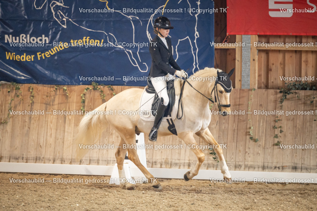 _D5A1477 | Emotionale Pferde- & People-Fotografie rund um Heidelberg, Leimen & Umgebung. Natürliche Fotos von Pferd, Mensch & Familie. Jetzt Termin sichern!