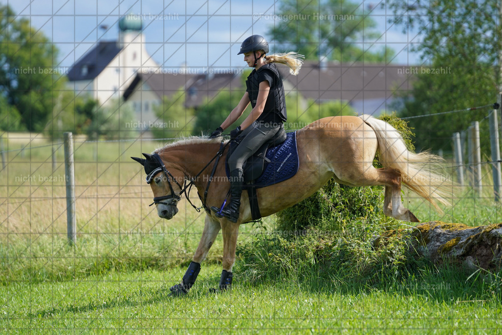 20240622-FAH08095 | Turnierfotografen Bayern, Reitsportbilder aus dem Geländekurs mit Felix Etzel auf dem Gut Waitzacker 2024